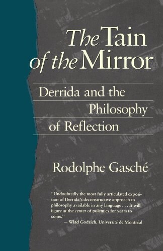 The Tain of the Mirror: Derrida and the Philosophy of Reflection (Paperback, Revised)