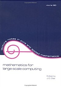 Mathematics for Large Scale Computing (Paperback)