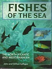 Fishes of the Sea (Hardcover, 1st)