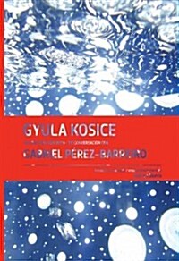 Gyula Kosice in Conversation with Gabriel P?ez-Barreiro (Hardcover)