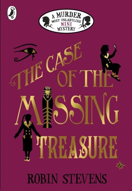 The Case of the Missing Treasure (Paperback)