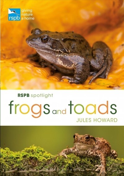 RSPB Spotlight Frogs and Toads (Paperback)