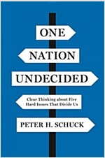 One Nation Undecided: Clear Thinking about Five Hard Issues That Divide Us (Paperback)