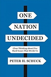 One Nation Undecided: Clear Thinking about Five Hard Issues That Divide Us (Paperback)