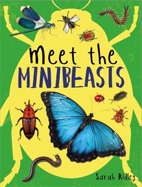 Meet the Minibeasts (Hardcover)