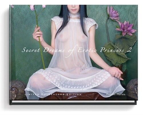 Secret Dreams of Erotic Princess 2 (Hardcover)