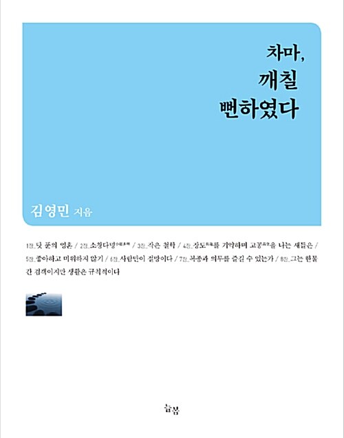 [중고] 차마, 깨칠 뻔하였다