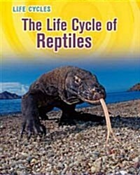 The Life Cycle of Reptiles (Paperback, UK)