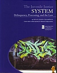 Juvenile Justice System: Delinquency, Processing, & the Law (Paperback)