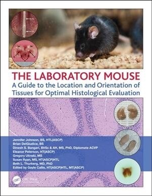 The Laboratory Mouse : A Guide to the Location and Orientation of Tissues for Optimal Histological Evaluation (Paperback)