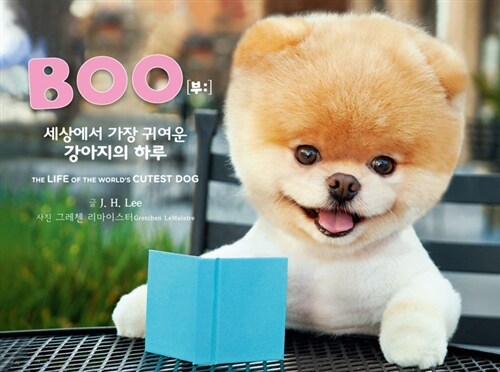 Boo : 세상에서 가장 귀여운 강아지의 하루