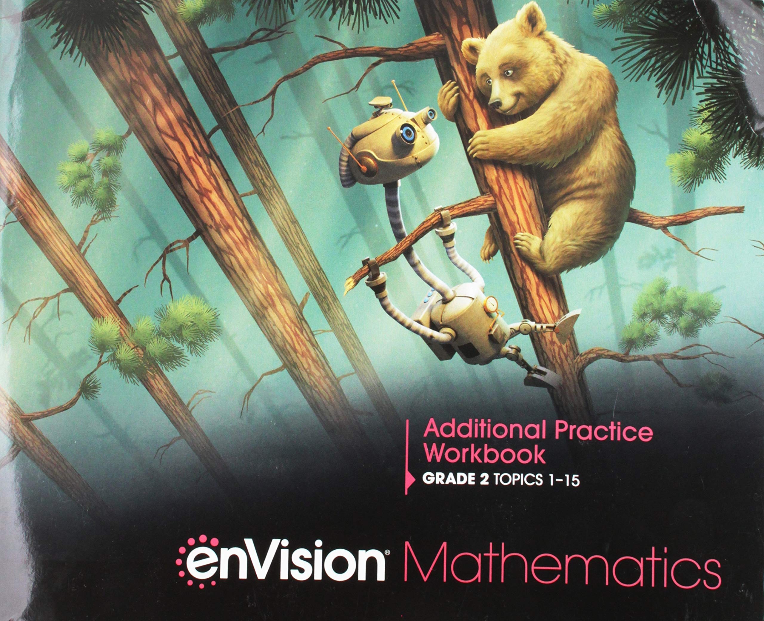 Envision Mathematics 2020 Additional Practice Workbook Grade 2 (Paperback)