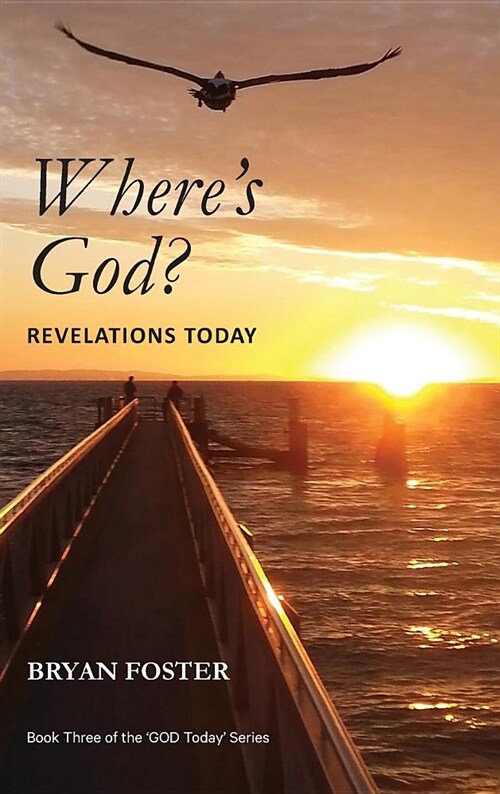 Wheres God? Revelations Today (Hardcover)