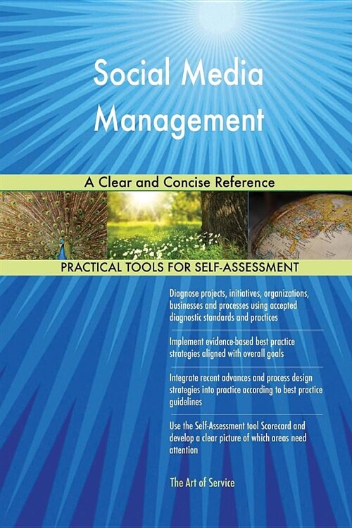 Social Media Management a Clear and Concise Reference (Paperback)