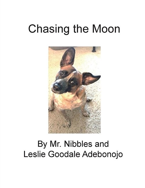 Chasing the Moon (Paperback)