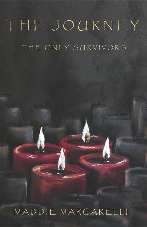 The Journey the Only Survivors (Paperback)