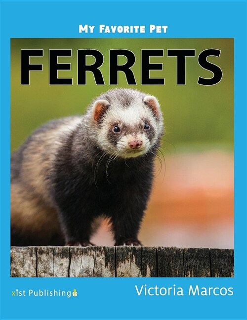 My Favorite Pet: Ferrets (Hardcover)