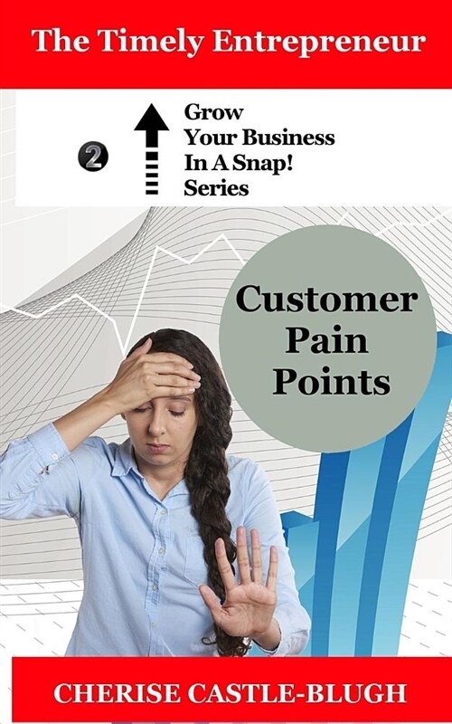 Customer Pain Points (Paperback)