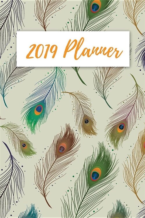 2019 Planner: 2019 Daily Planner (Paperback)