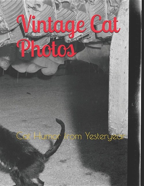 Vintage Cat Photos: Cat Humor from Yesteryear (Paperback)