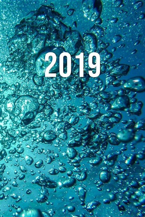 2019: Jan - Dez Wochenplaner - 365 Tage Terminkalender Mit Uhrzeit - 1 Tag Auf 1 Seite, Ca. A5 - Scuba Unterwasserwelt (Paperback)