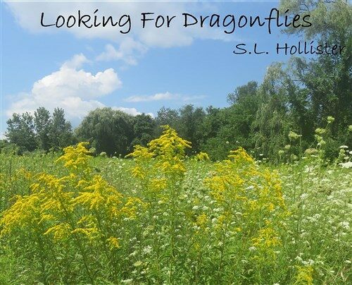 Looking for Dragonflies (Hardcover)