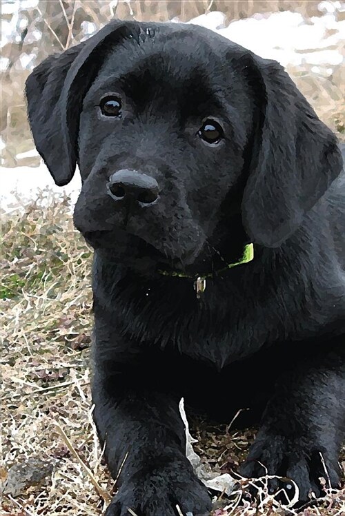 Black Lab Puppy Journal: Dog Wisdom Quotes (Paperback)