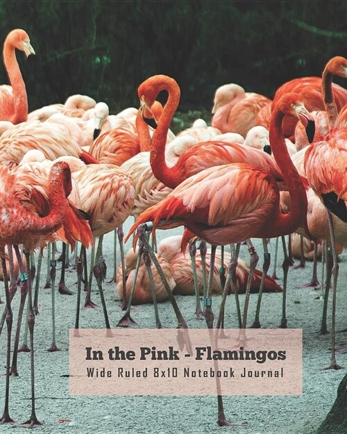 In the Pink - Flamingos Wide Ruled 8x10 Notebook Journal (Paperback)