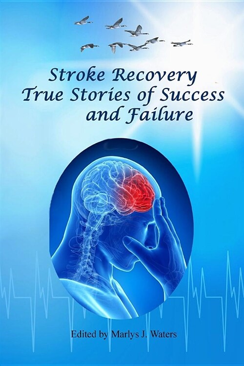 Stroke Recovery - True Stories of Success and Failure (Paperback)