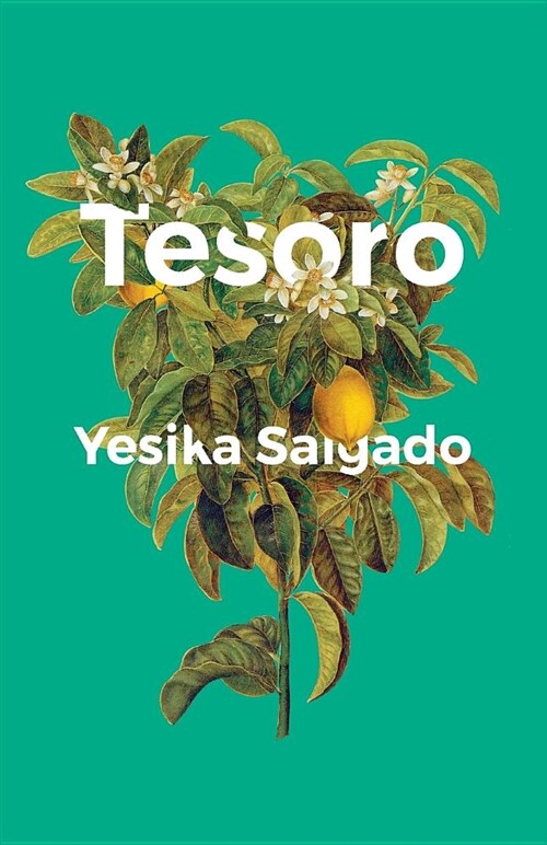 Tesoro (Paperback)