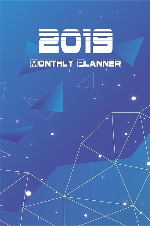 2019 Monthly Planner: 2019 Planner Orangizer (Paperback)