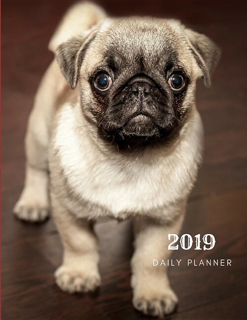 2019 Daily Planner: Academic Hourly Organizer in 15 Minute Interval; French Bulldog Front Cover; Appointment Calendar with Address Book & (Paperback)