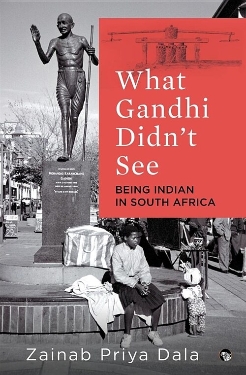 What Gandhi Didnt See: Being Indian in South Africa (Paperback)