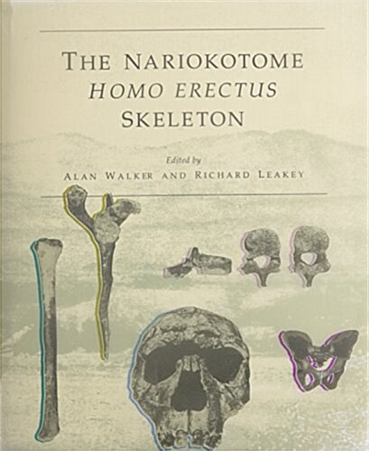 The Nariokotome Homo Erectus Skeleton (Hardcover)