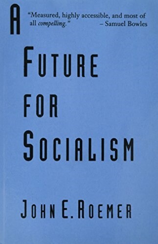 A Future for Socialism (Paperback)