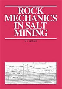 Rock Mechanics in Salt Mining (Paperback, Student)