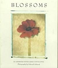 Deborah Schenck Blossoms Notecards [With Envelopes] (Other)