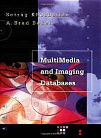 Multi-Media & Imaging Databases (Paperback)