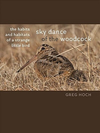 Sky Dance of the Woodcock: The Habits and Habitats of a Strange Little Bird (Paperback)