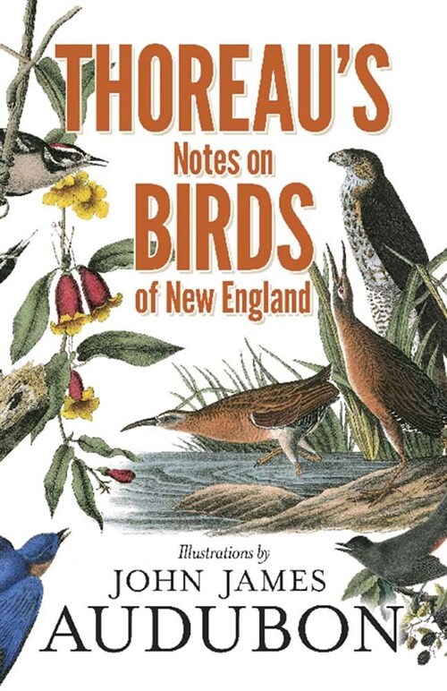 Thoreaus Notes on Birds of New England (Paperback, Illustrations b)