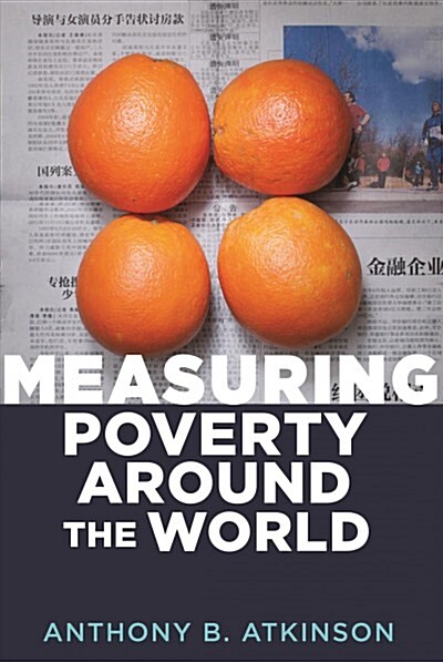 Measuring Poverty Around the World (Hardcover)