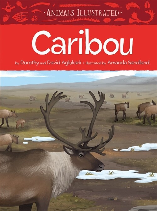 Animals Illustrated: Caribou (Hardcover, English)