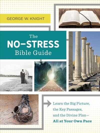 The No-Stress Bible Guide: Learn the Big Picture, the Key Passages, and the Divine Plan--All at Your Own Pace (Paperback)
