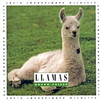 Llamas (Library, 1st)