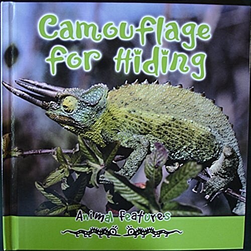 Camouflage for Hiding (Library)