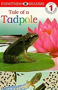 [중고] Tale of a Tadpole (Eyewitness Readers) (Paperback)