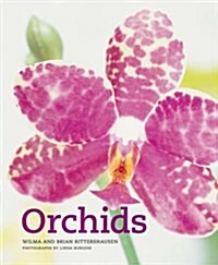 Orchids (Paperback)