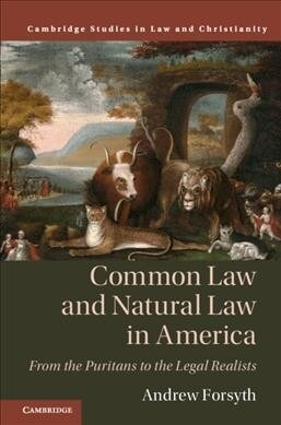 Common Law and Natural Law in America : From the Puritans to the Legal Realists (Hardcover)