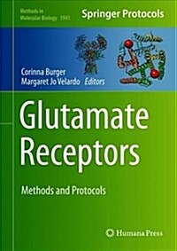Glutamate Receptors: Methods and Protocols (Hardcover, 2019)
