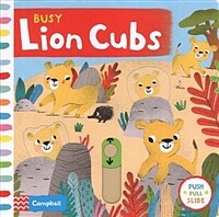 Busy Lion Cubs (Board Book)